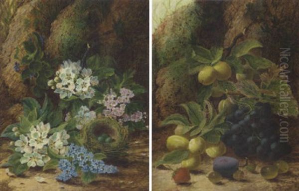 Primroses And Apple Blossom, A Bird's Nest With Eggs, On A Mossy Bank Oil Painting by Oliver Clare