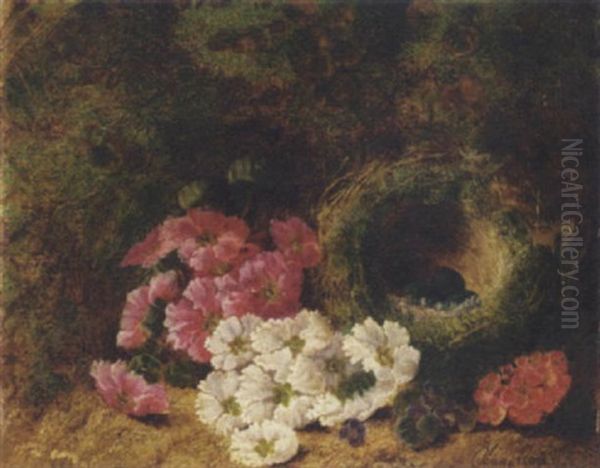 Pink, Red, White And Purple Violets, A Bird's Nest With Eggs Against A Mossy Landscape Oil Painting by Oliver Clare