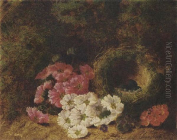 Pink, Red, White And Purple Violets, A Bird's Nest With Eggs Against A Mossy Landscape Oil Painting by Oliver Clare