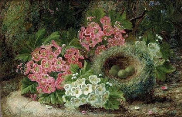 Blossom And A Bird's Nest With Eggs, On A Mossy Bank Oil Painting by Oliver Clare