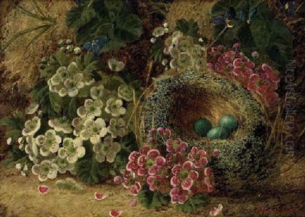 Blossom And A Bird's Nest With Eggs, On A Mossy Bank Oil Painting by Oliver Clare