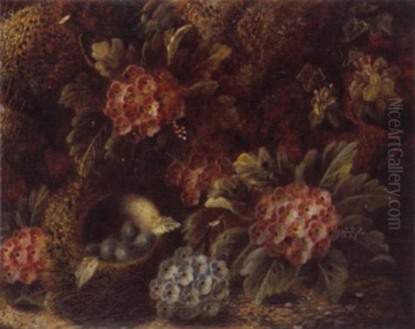 Still Life Of Bird's Nest And Flowers Oil Painting by Oliver Clare