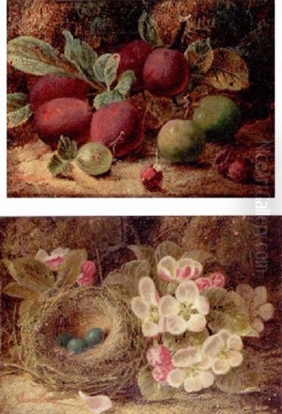 Apple Blossom And A Bird's Nest With Eggs, On A Mossy Bank Oil Painting by Oliver Clare