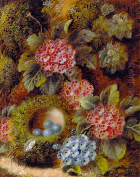 Primulas And A Bird's Nest With Eggs On A Mossy Bank Oil Painting by Oliver Clare