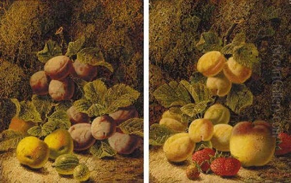 Plums, Apples And Gooseberries On A Mossy Bank Oil Painting by Oliver Clare