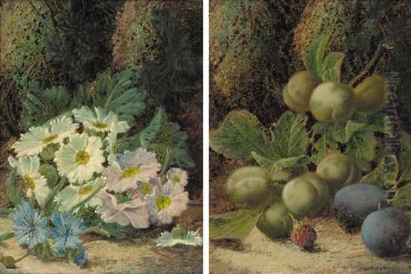 Plums And A Raspberry On A Mossy Bank Oil Painting by Oliver Clare