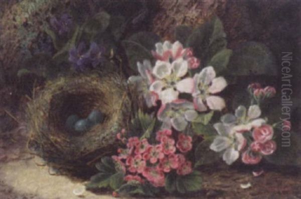 Still Life With Robin's Eggs And Flowers Oil Painting by Oliver Clare