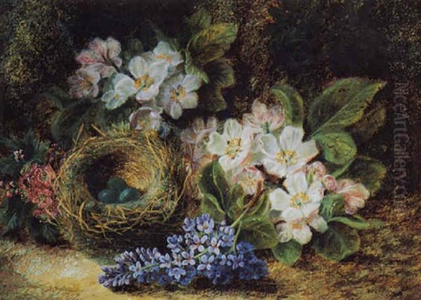 Still Life With Bird's Nest And Pink And White Flowers Oil Painting by Oliver Clare