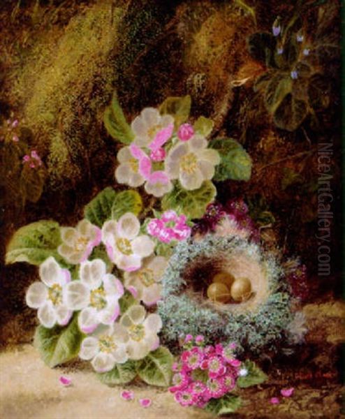 Primulas, Apple Blossom And A Bird's Nest On A Mossy Bank Oil Painting by Oliver Clare