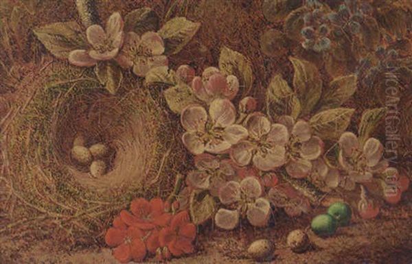 Apple Blossom And A Bird's Nest With Eggs, On A Mossy Bank Oil Painting by Oliver Clare