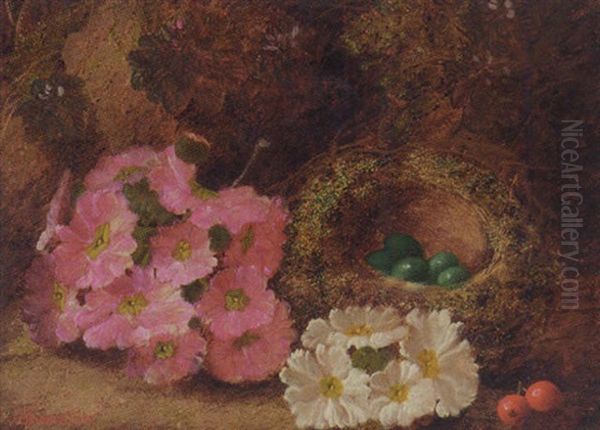 Primulas, Berries, A Bird's Nest With Eggs On A Mossy Bank by Oliver Clare