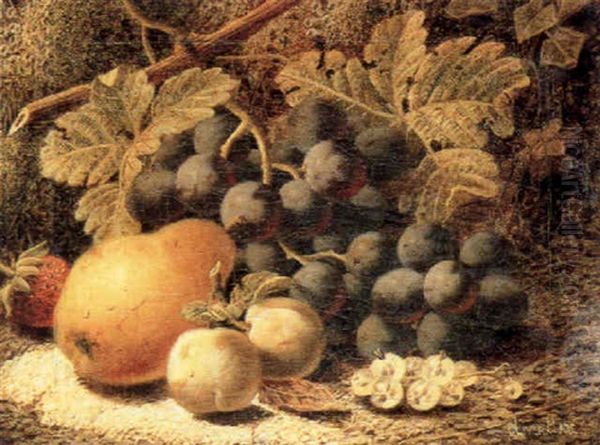 Still Life With Grapes, Plums, A Pear And Other Fruit On A Mossy Bank Oil Painting by Oliver Clare