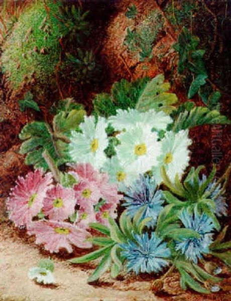 Primulas By A Bank Oil Painting by Oliver Clare