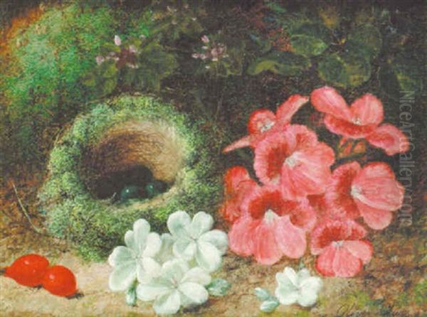 Bird's Nest And Flowers Oil Painting by Oliver Clare