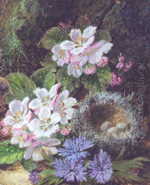 Apple Blossom And A Bird's Nest With Eggs On A Mossy Bank Oil Painting by Oliver Clare