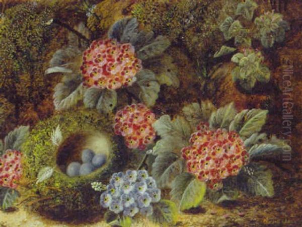 Primulas And A Bird's Nest With Eggs On A Mossy Bank by Oliver Clare