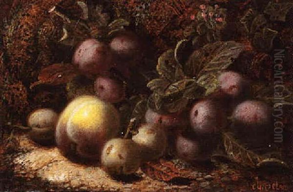 Plums And Peaches On A Mossy Bank Oil Painting by Oliver Clare