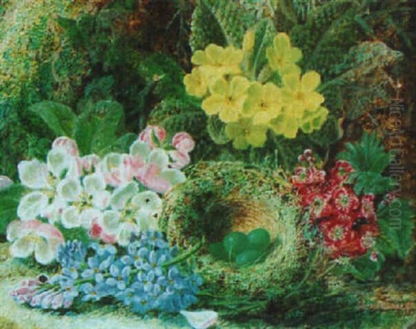 Still Life With Primroses, Apple Blossom And A Bird's Nest Oil Painting by Oliver Clare