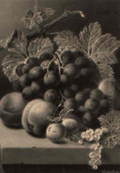 Fruit On A Ledge Oil Painting by Oliver Clare