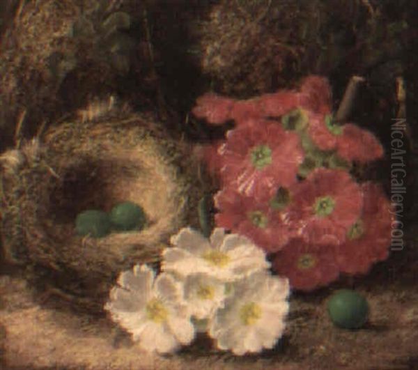 Apple Blossom, Flowers And A Bird's Nest On A Mossy Bank by Oliver Clare