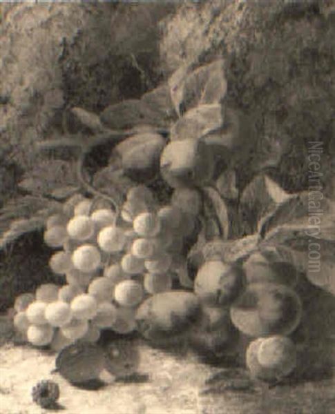 Still Life Of Grapes, Plums And Various Berries Oil Painting by Oliver Clare