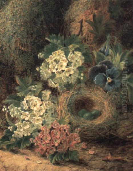 A Hedge Sparrow's Nest, Pansies And Hawthorn On A Mossy Bank Oil Painting by Oliver Clare