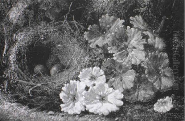 Still Life Of Flowers And A Bird's Nest On A Mossy Bank Oil Painting by Oliver Clare