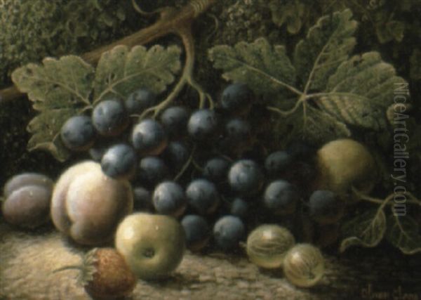 Plums And Other Fruit On A Mossy Bank Oil Painting by Oliver Clare