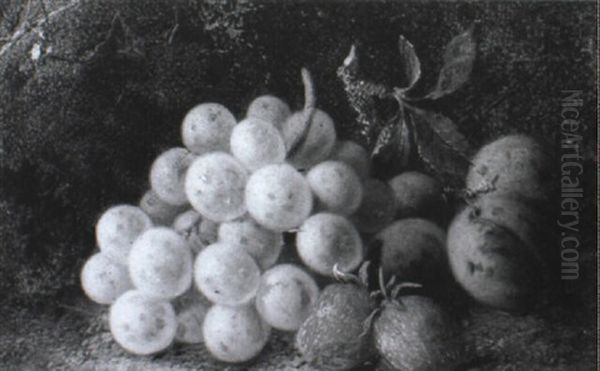 Still Life Of Grapes, Strawberries And Plums Oil Painting by Oliver Clare