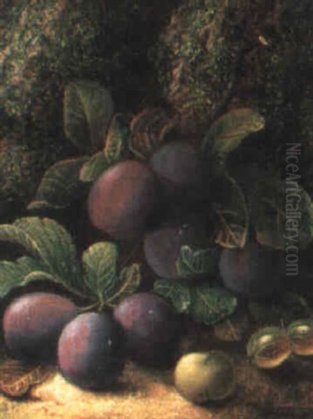 Plums, Gooseberries And A Greengage Oil Painting by Oliver Clare