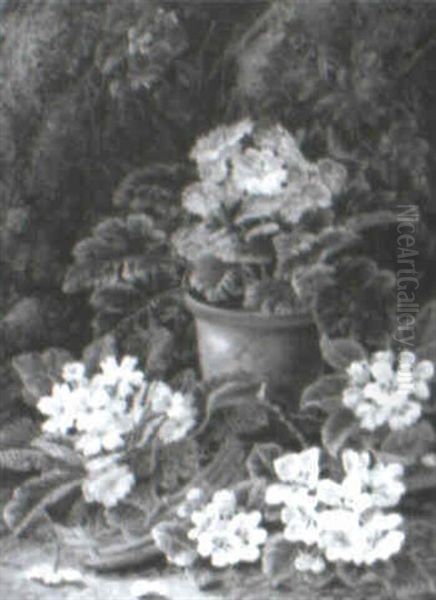 Potted African Violets On A Mossy Bank Oil Painting by Oliver Clare