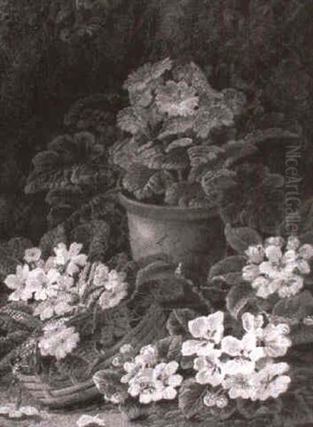 Still Life Of Primroses, Primula And Apple Blossom by Oliver Clare