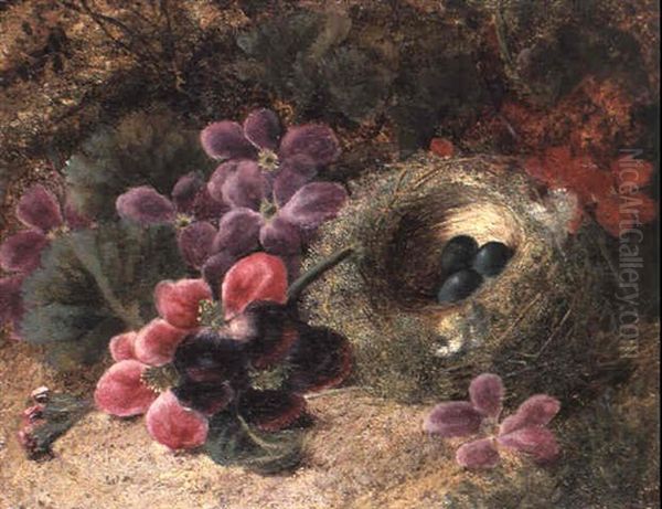 A Bird's Nest And Geraniums Oil Painting by Oliver Clare