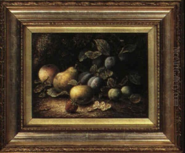 Still Life With Apples, Plums, And Other Fruit Oil Painting by Oliver Clare