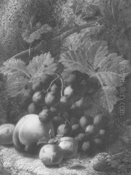 Grapes, Peaches And Greengages On A Mossy Bank Oil Painting by Oliver Clare