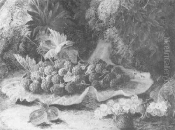 Raspberries By A Strawberry, Whitecurrants And              Gooseberries On A Mossy Bank by Oliver Clare