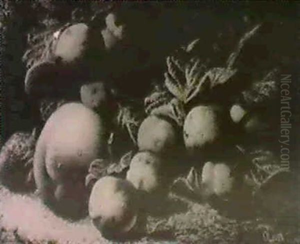 Still Life Studies Depicting Various Fruits Amidst Mossy    Backgrounds (2) Oil Painting by Oliver Clare