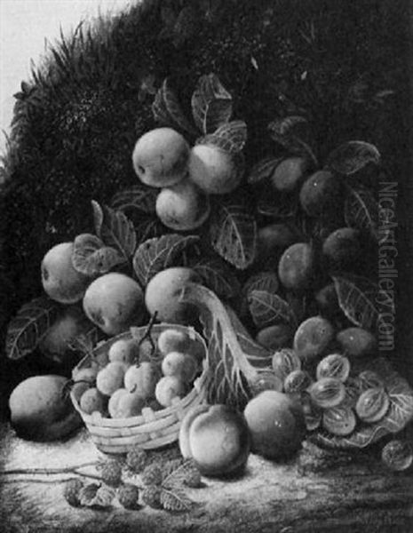 Still Life Of Plums, Apples, Gooseberries, Raspberries, Peaches And Greengages Oil Painting by Oliver Clare