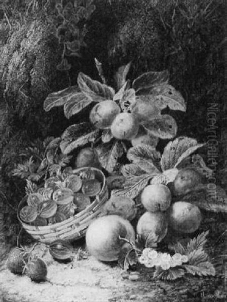 A Still Life Of Plums, Gooseberries, Strawberries And A Peach Oil Painting by Oliver Clare