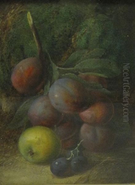 A Still Life Of Plums, Apple And Grapes Oil Painting by Vincent Clare