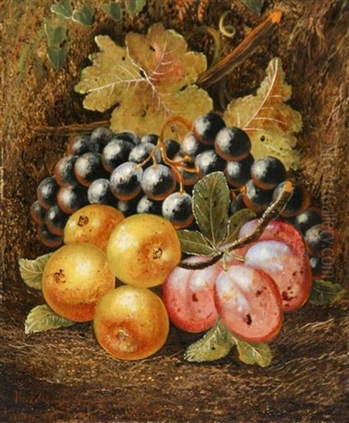 Still Life Of Fruit On A Forest Floor by Vincent Clare