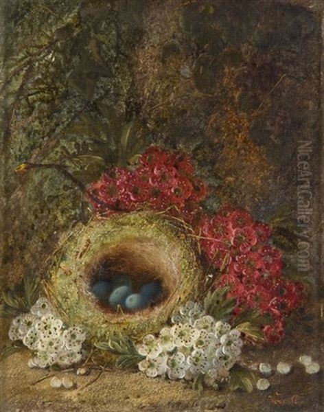 Nid Dans Un Sous-bois (+ Composition Aux Pommes, Prunes, Raisins Et Framboises; Pair) Oil Painting by Vincent Clare