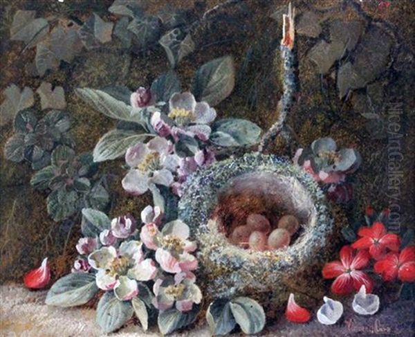 Still Lifes Of Fruit, Flowers And A Birds Nest (pair) Oil Painting by Vincent Clare