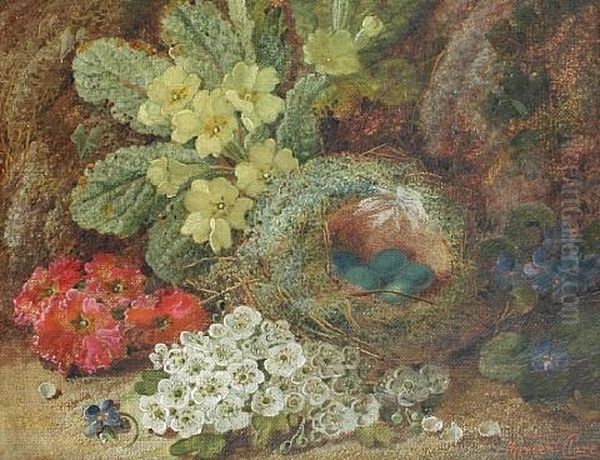 Wild Flowers And A Bird's Nest (+ Grapes And Apricots; Pair) Oil Painting by Vincent Clare