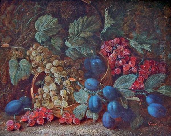 Prune Et Raisins Oil Painting by Vincent Clare