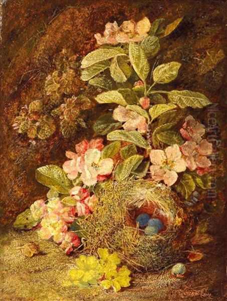 Waldbodenstillleben Mit Wildrosen Und Vogelnest Mit Gelege Oil Painting by Vincent Clare