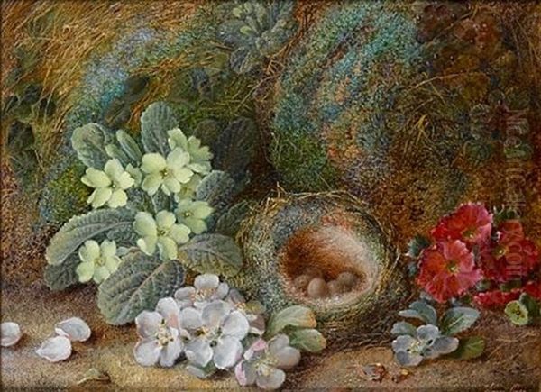 Still Life With Blossom (+ Primroses; Pair) Oil Painting by Vincent Clare