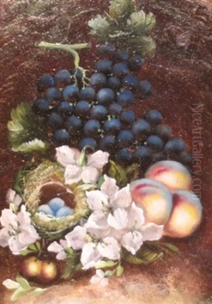 Still Life With Grapes, Apples And A Bird's Nest Oil Painting by Vincent Clare