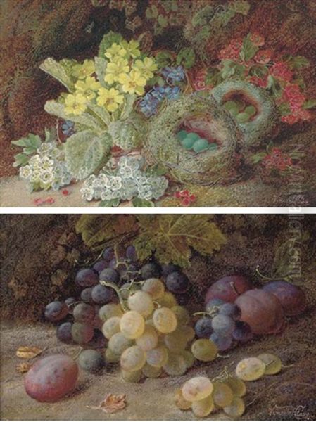 Primroses, Apple-blossom And A Bird's Nest On A Mossy Bank (+ Grapes And Plums On A Mossy Bank; Pair) Oil Painting by Vincent Clare