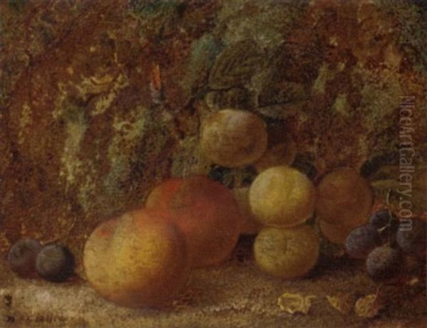 Peaches, Plums And Grapes On A Mossy Bank Oil Painting by Vincent Clare